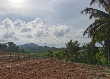 水?，F(xiàn)場(chǎng)照片