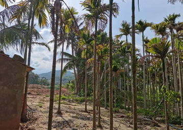 水保現(xiàn)場(chǎng)照片