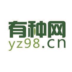 巨推網(wǎng)絡新媒體代運營